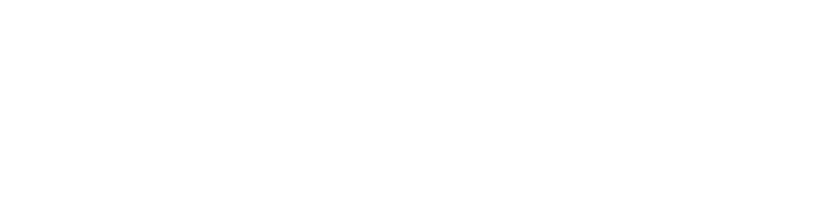 Logo Negativo AdventureSIC